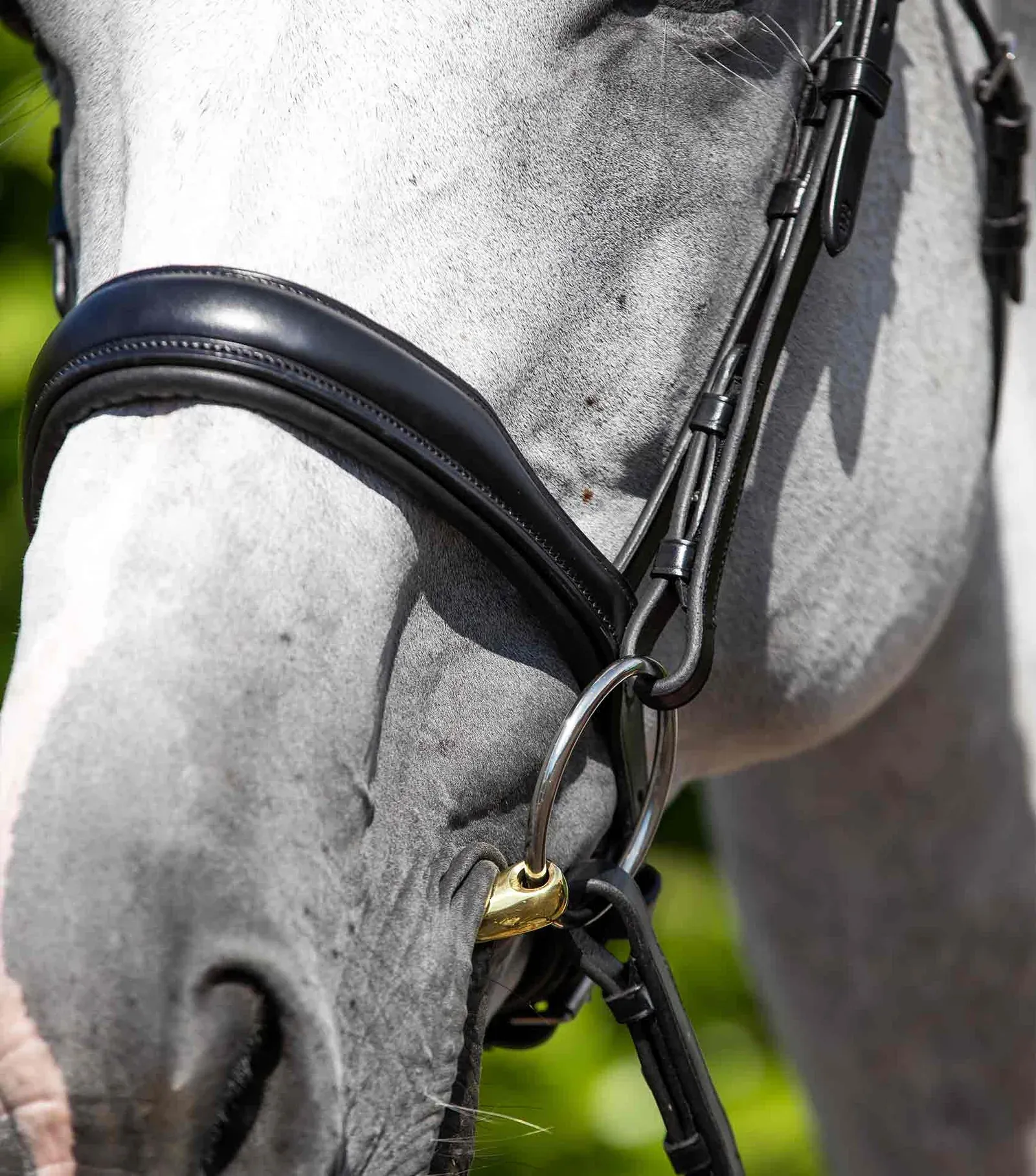 Bridle Parts - Anatomical Cavesson Noseband (PEI)