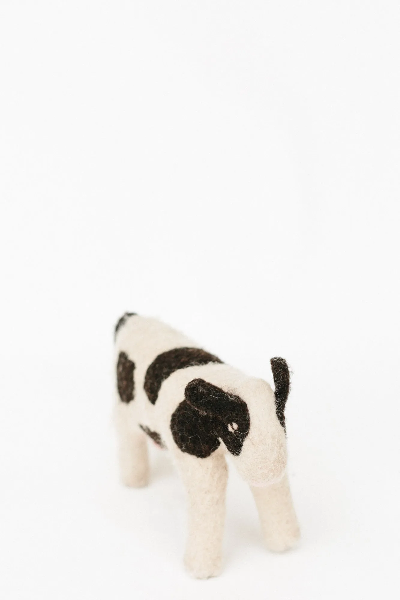 Carla Cow