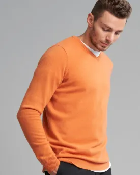 CASHMERE PEGASUS VEE