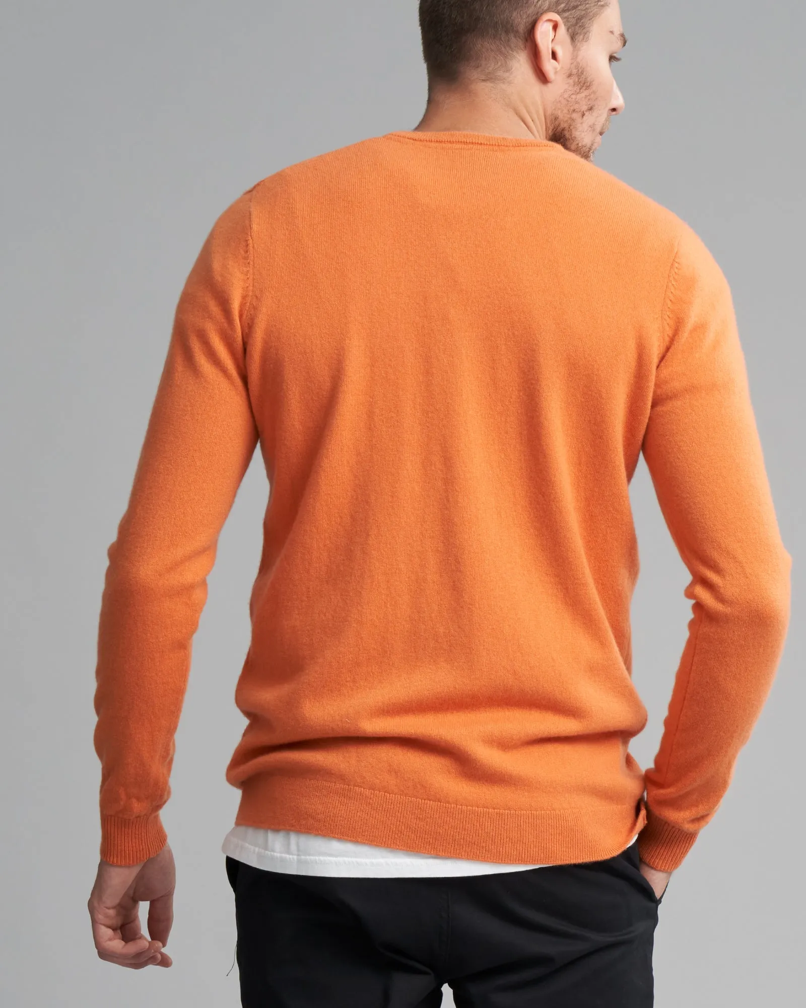 CASHMERE PEGASUS VEE