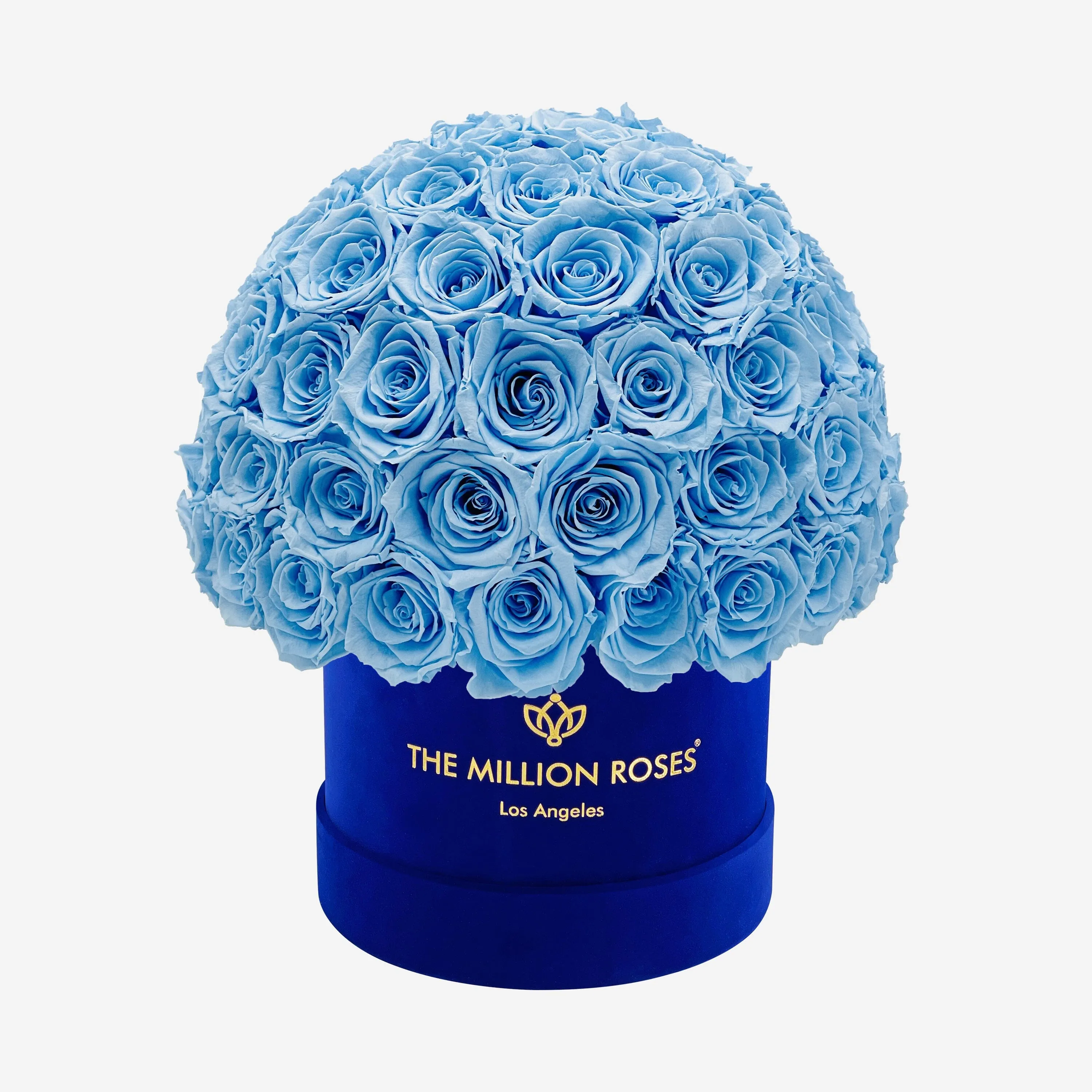 Classic Royal Blue Suede Superdome Box | Light Blue Roses