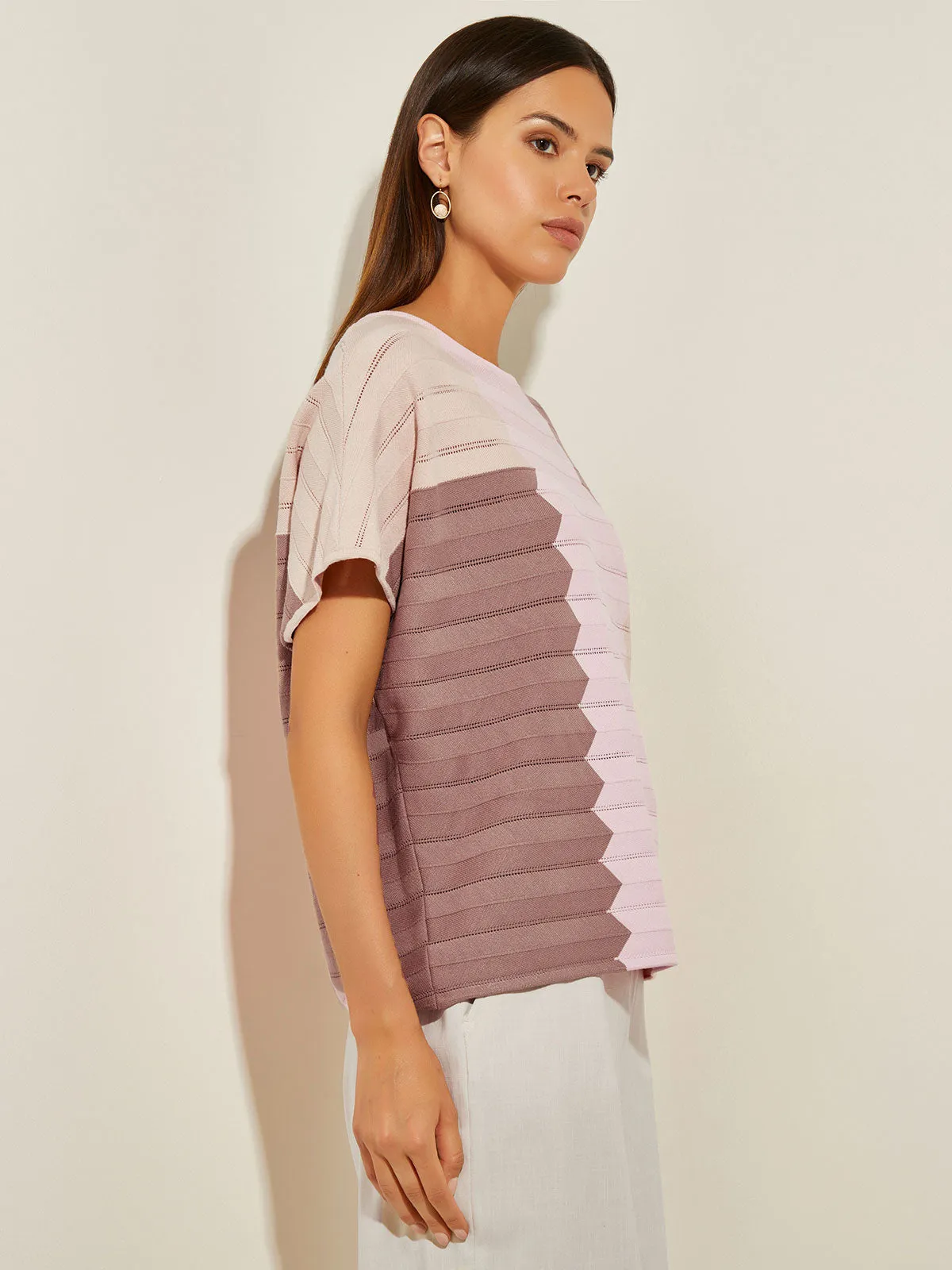 Colorblock Dolman Sleeve Recycled Knit Tunic