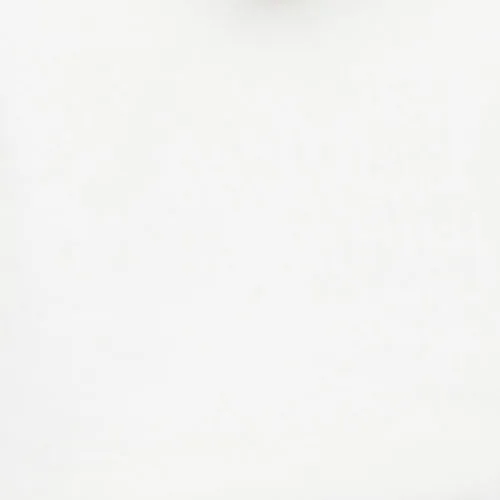 DSTLD Women's Cropped Hoodie in Off White