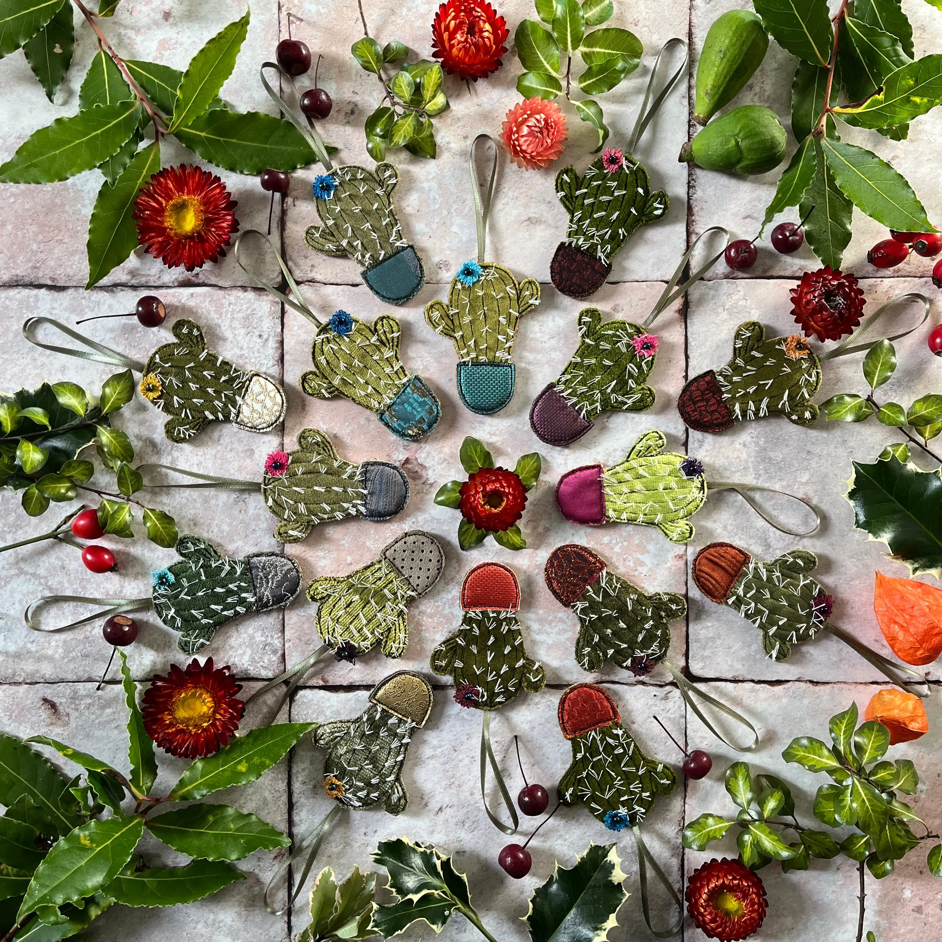 Hanging Cactus