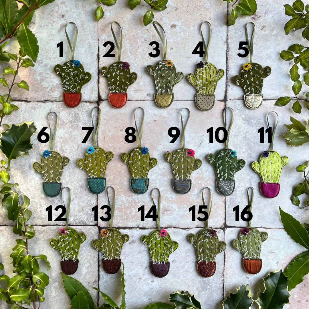 Hanging Cactus