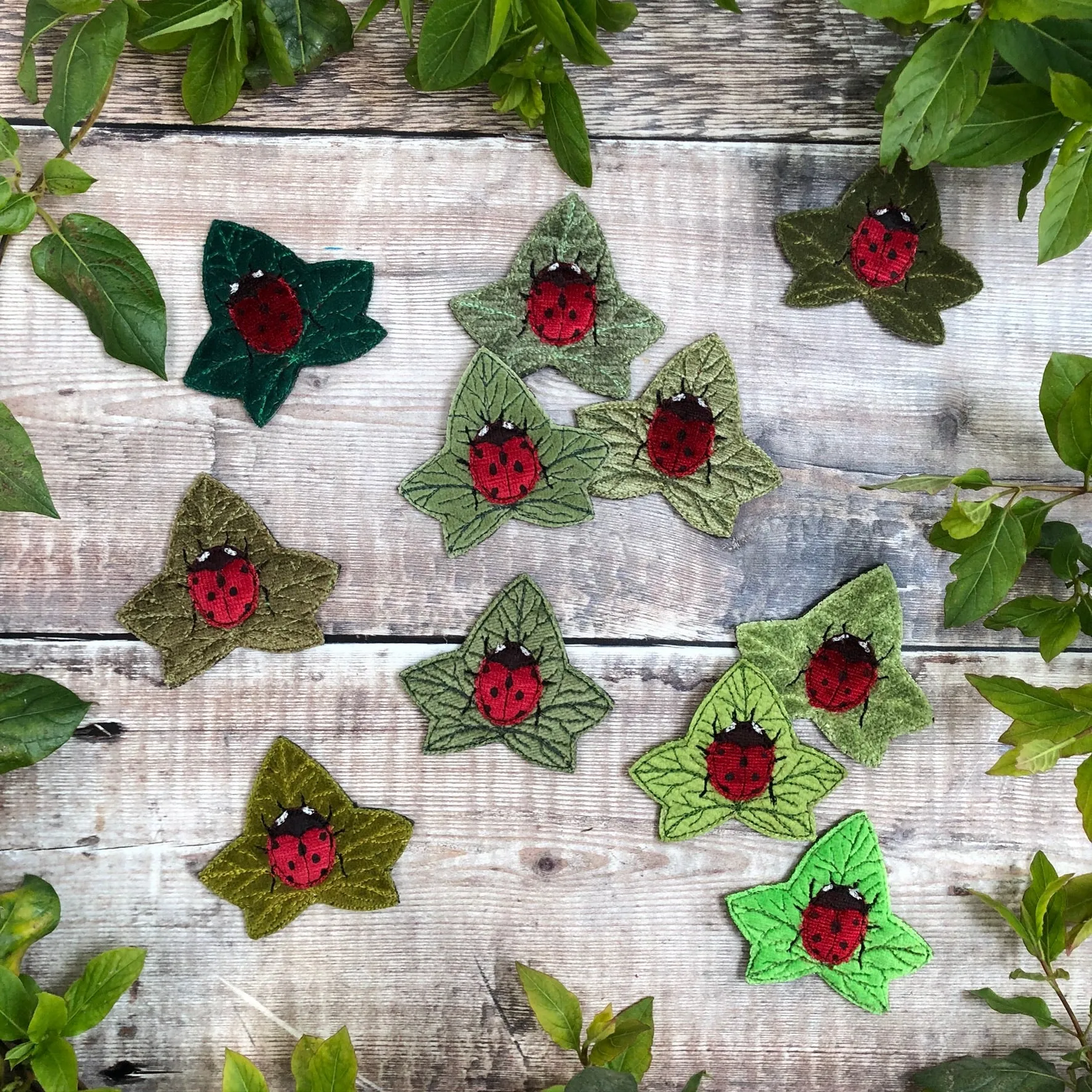 Ladybird brooch