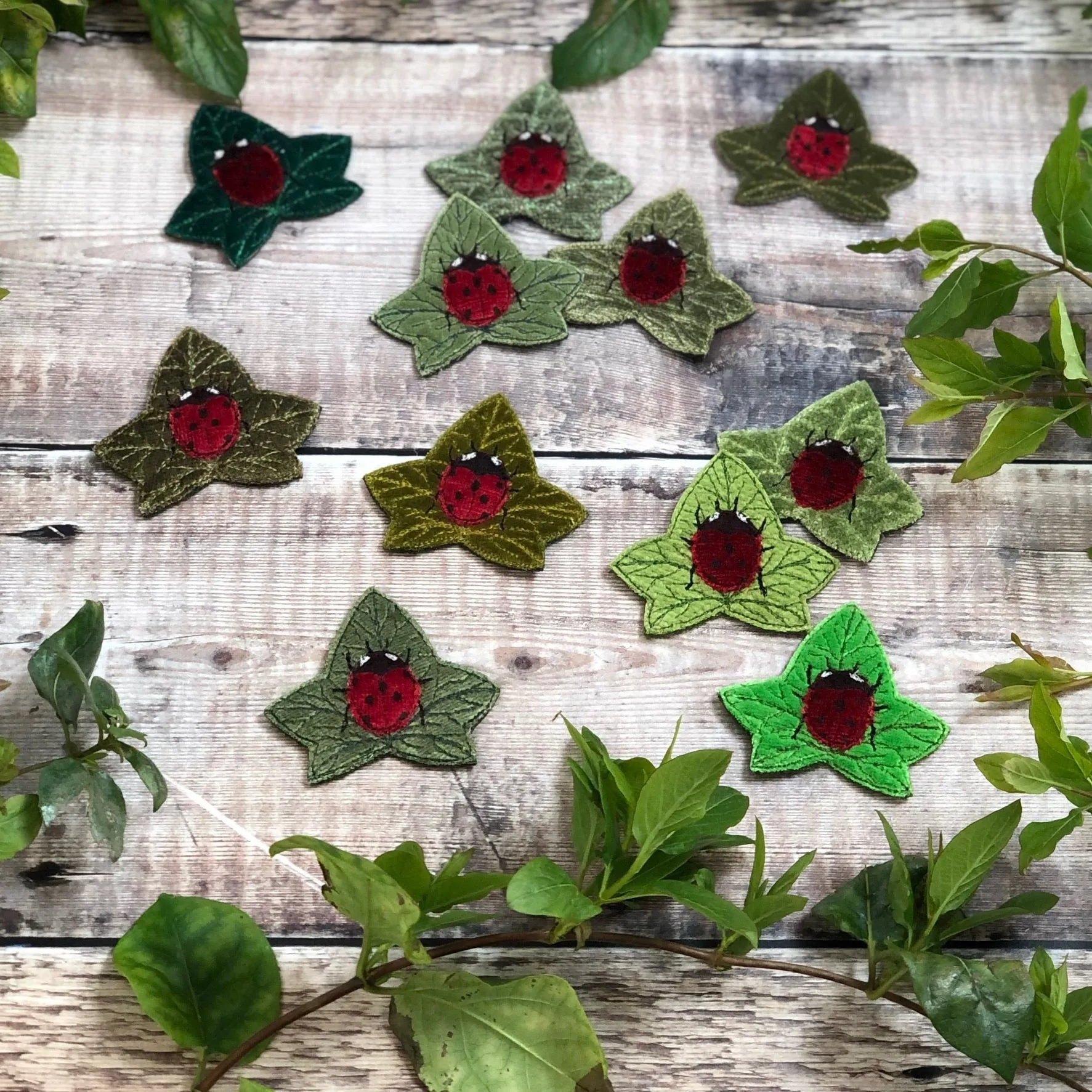 Ladybird brooch
