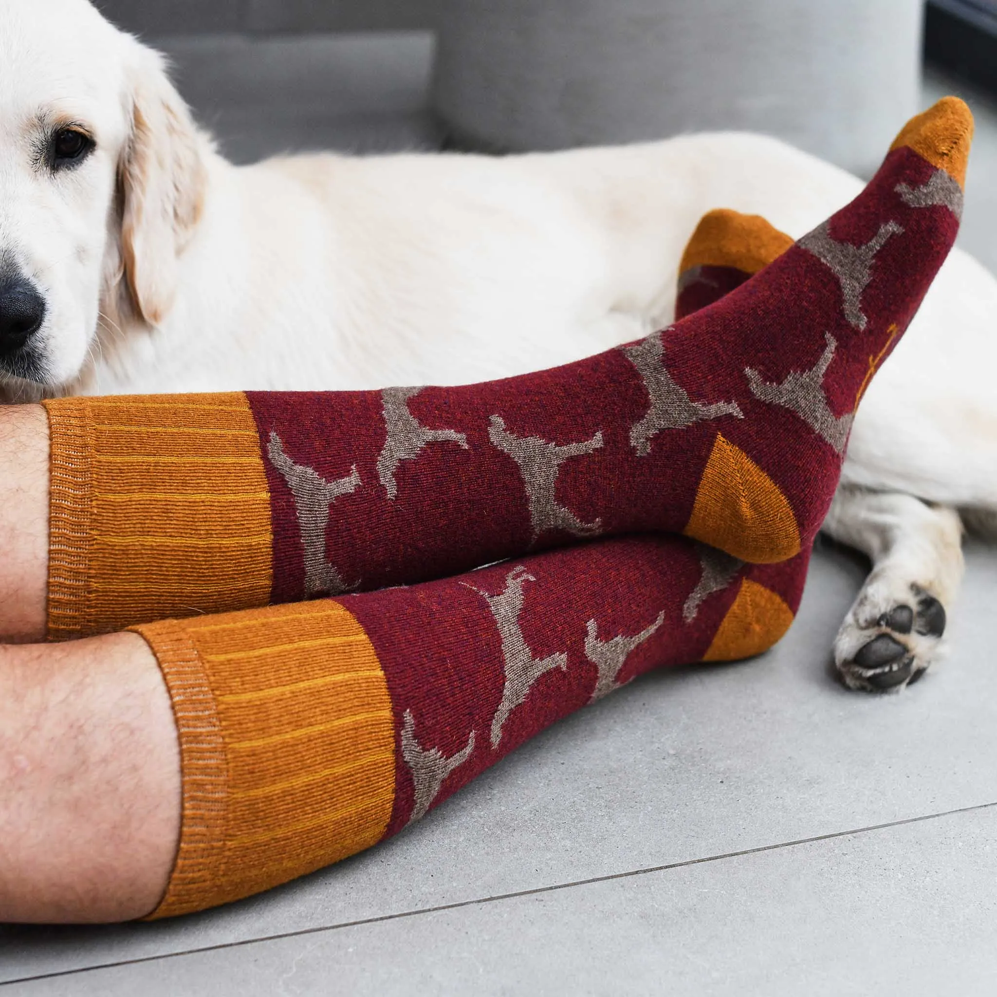Men's Dark Red Dog Lambswool Knee Socks