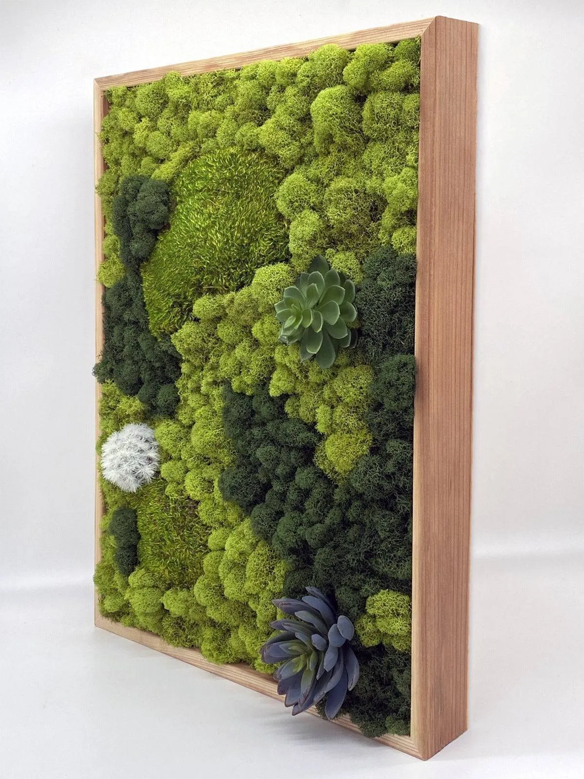 Preserved Mood and Pillow Moss Wall Art