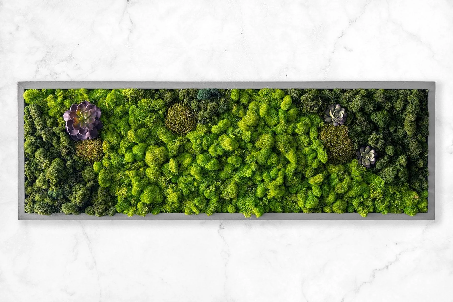 Preserved Mood and Pillow Moss Wall Art