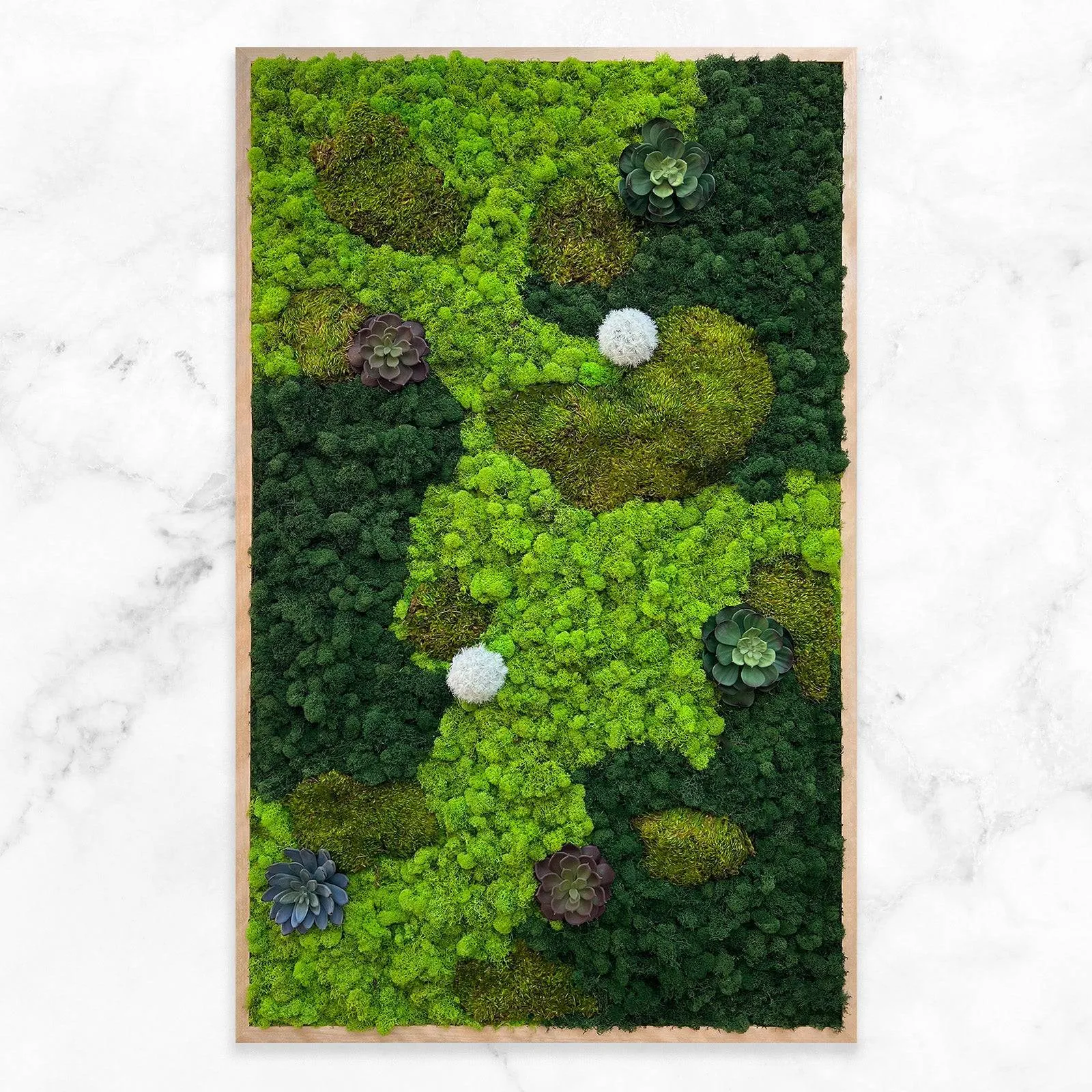 Preserved Mood and Pillow Moss Wall Art