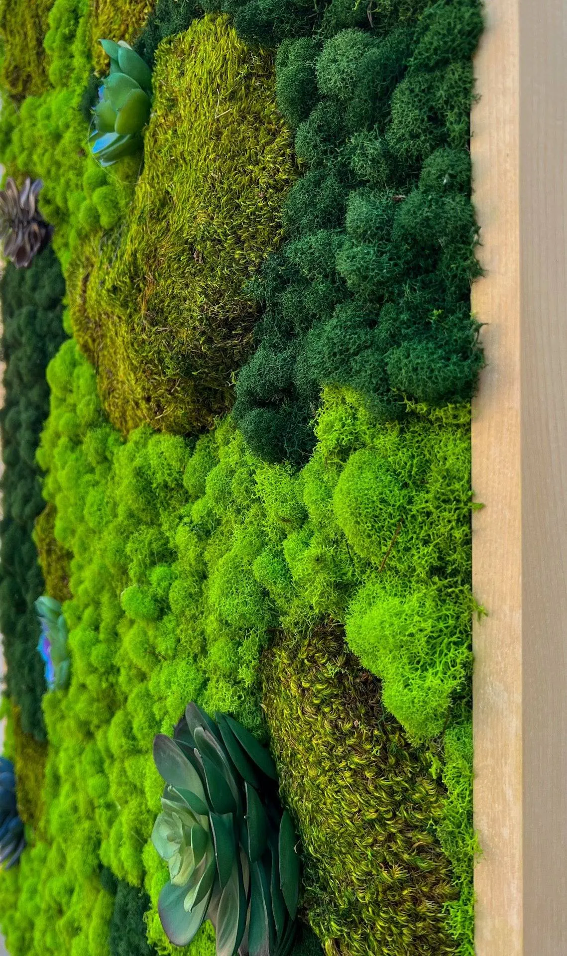 Preserved Mood and Pillow Moss Wall Art