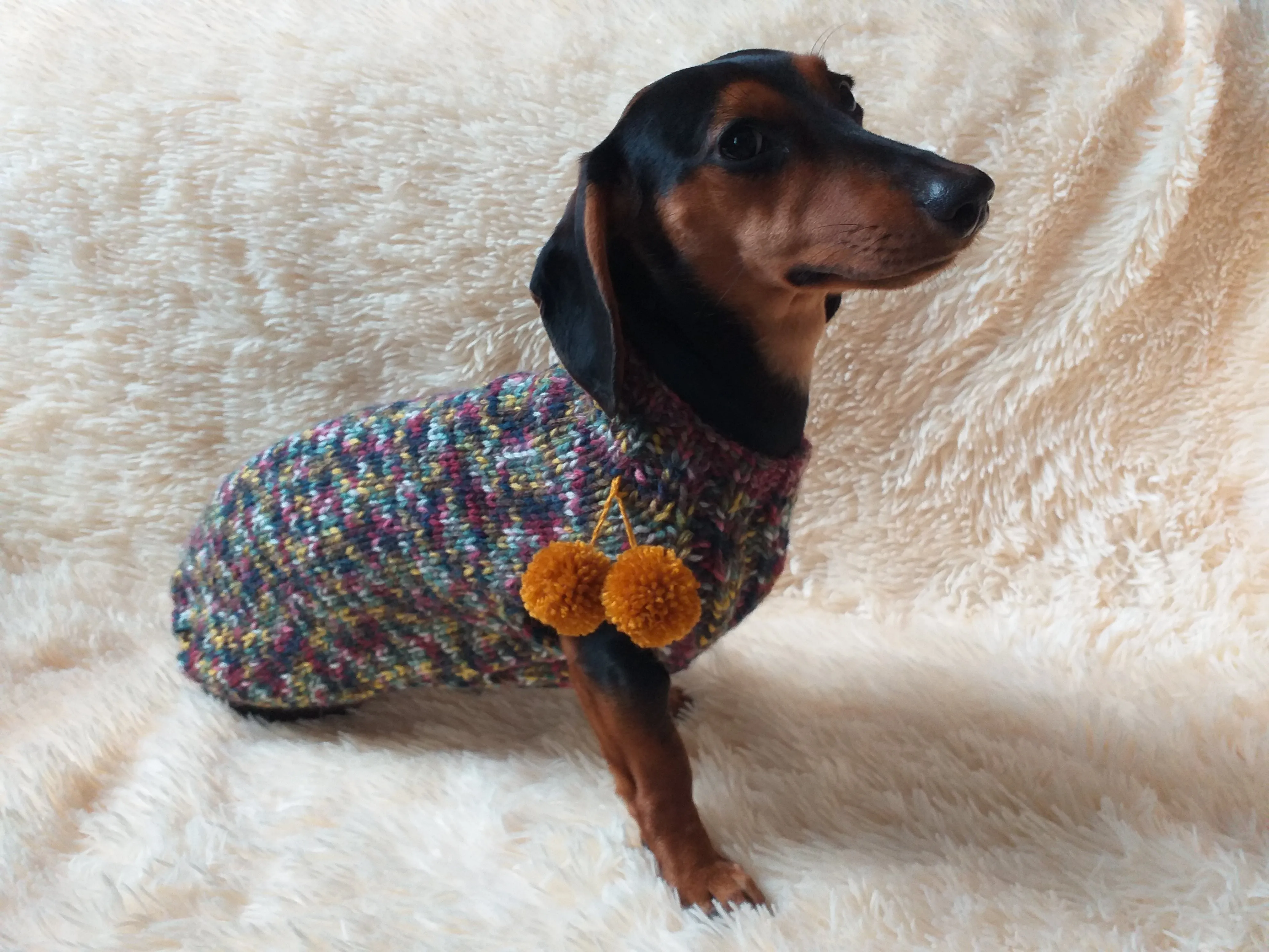 Wool dog jumper with pom poms