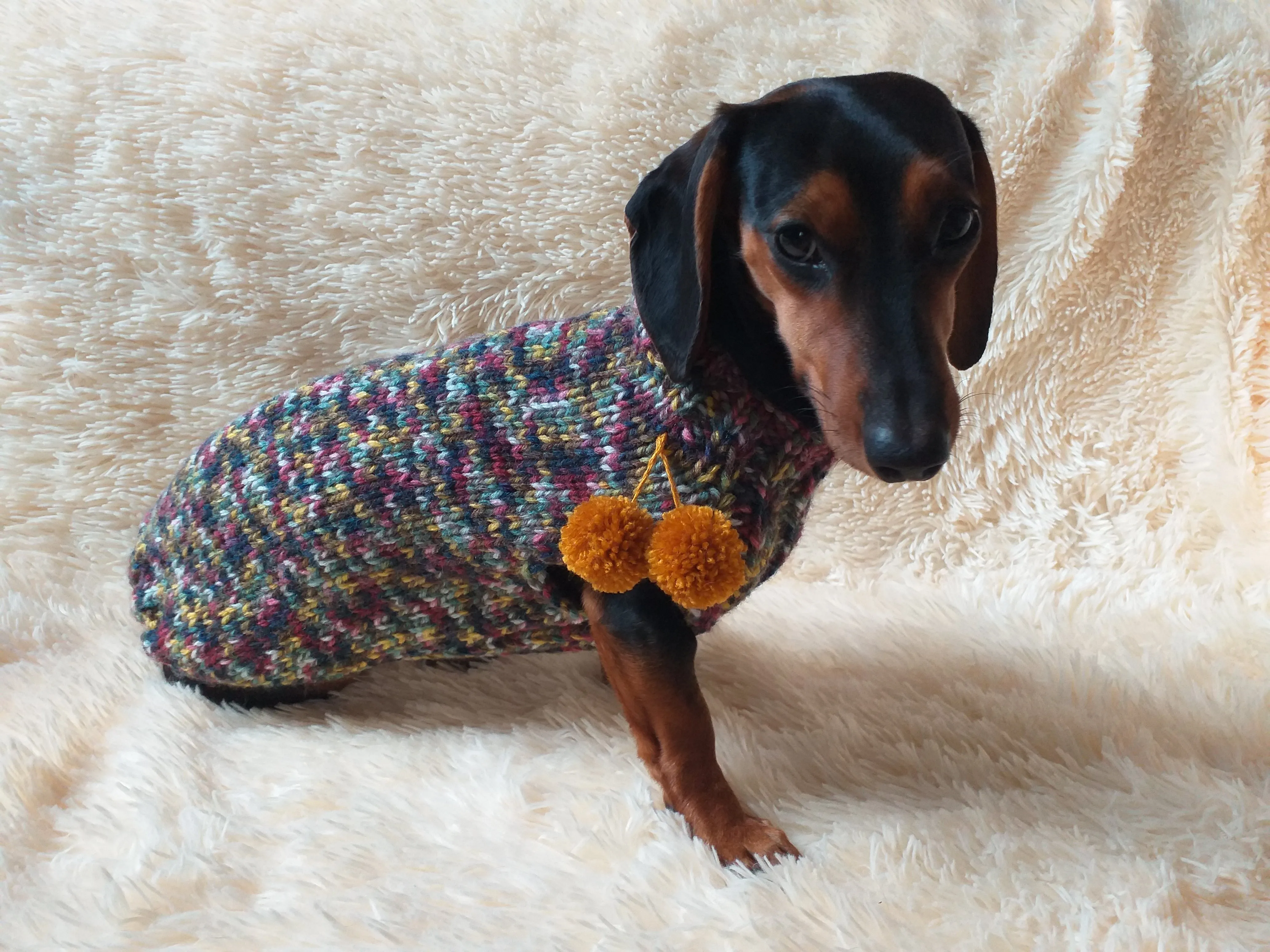 Wool dog jumper with pom poms