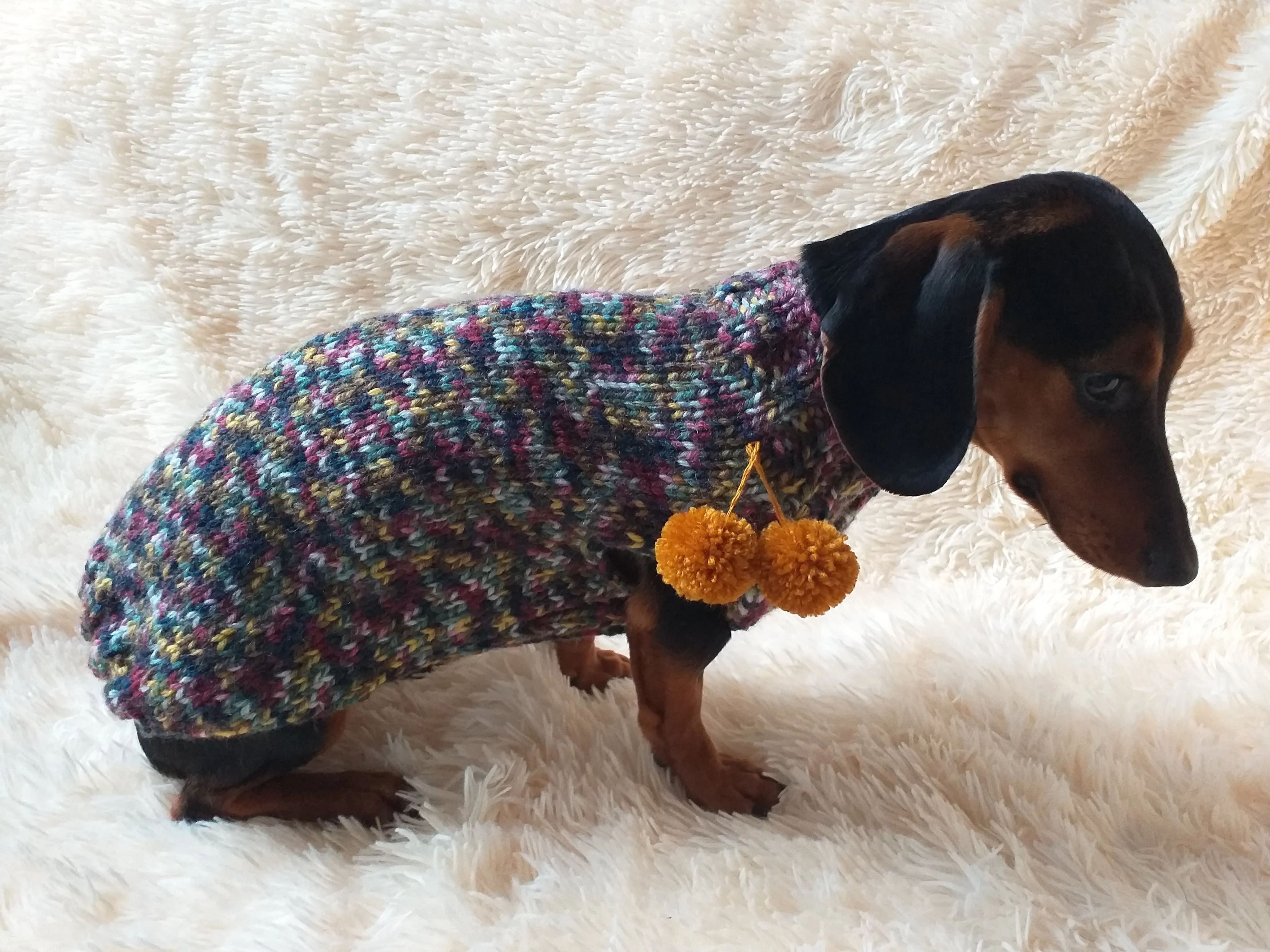 Wool dog jumper with pom poms