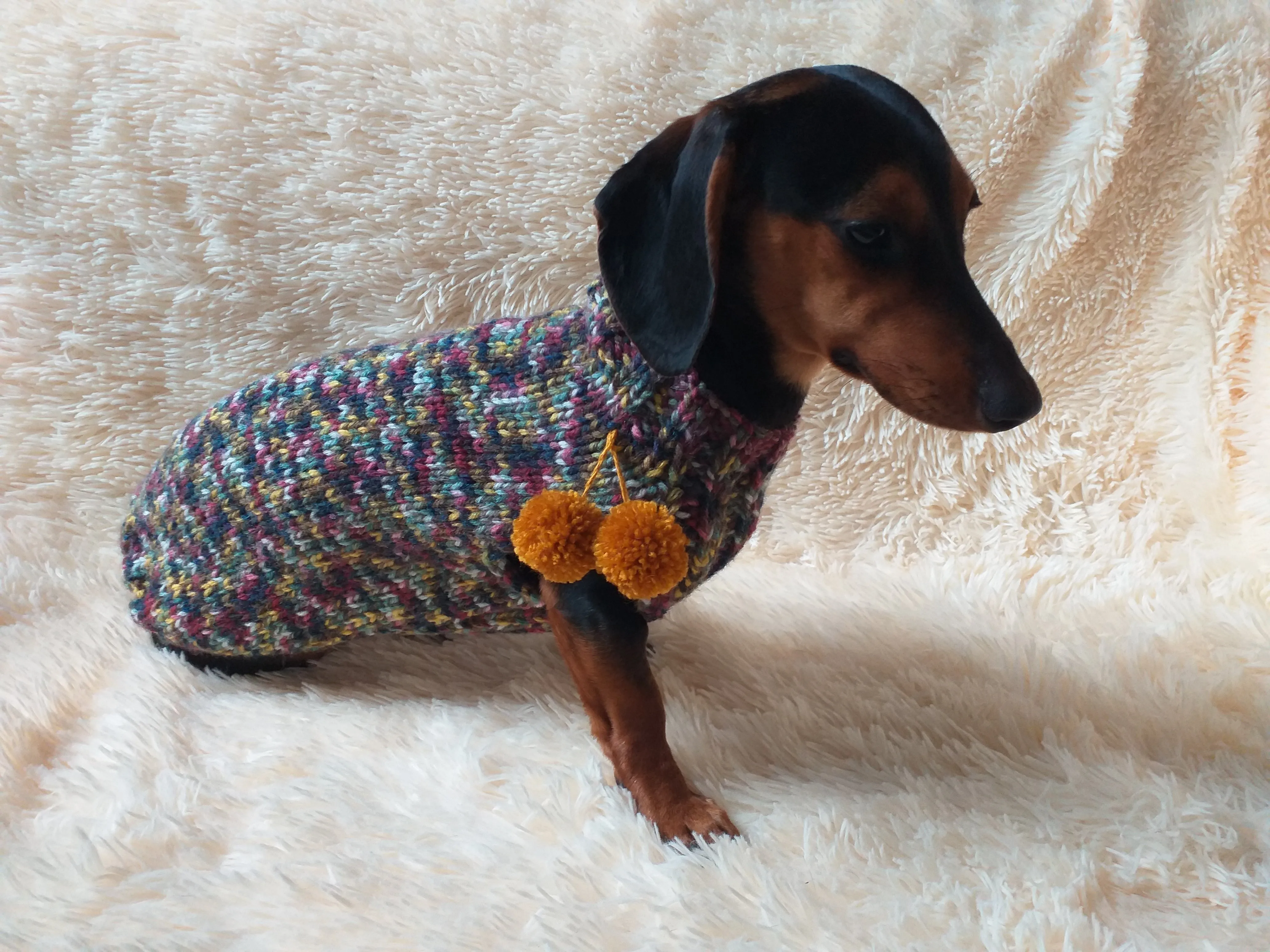 Wool dog jumper with pom poms