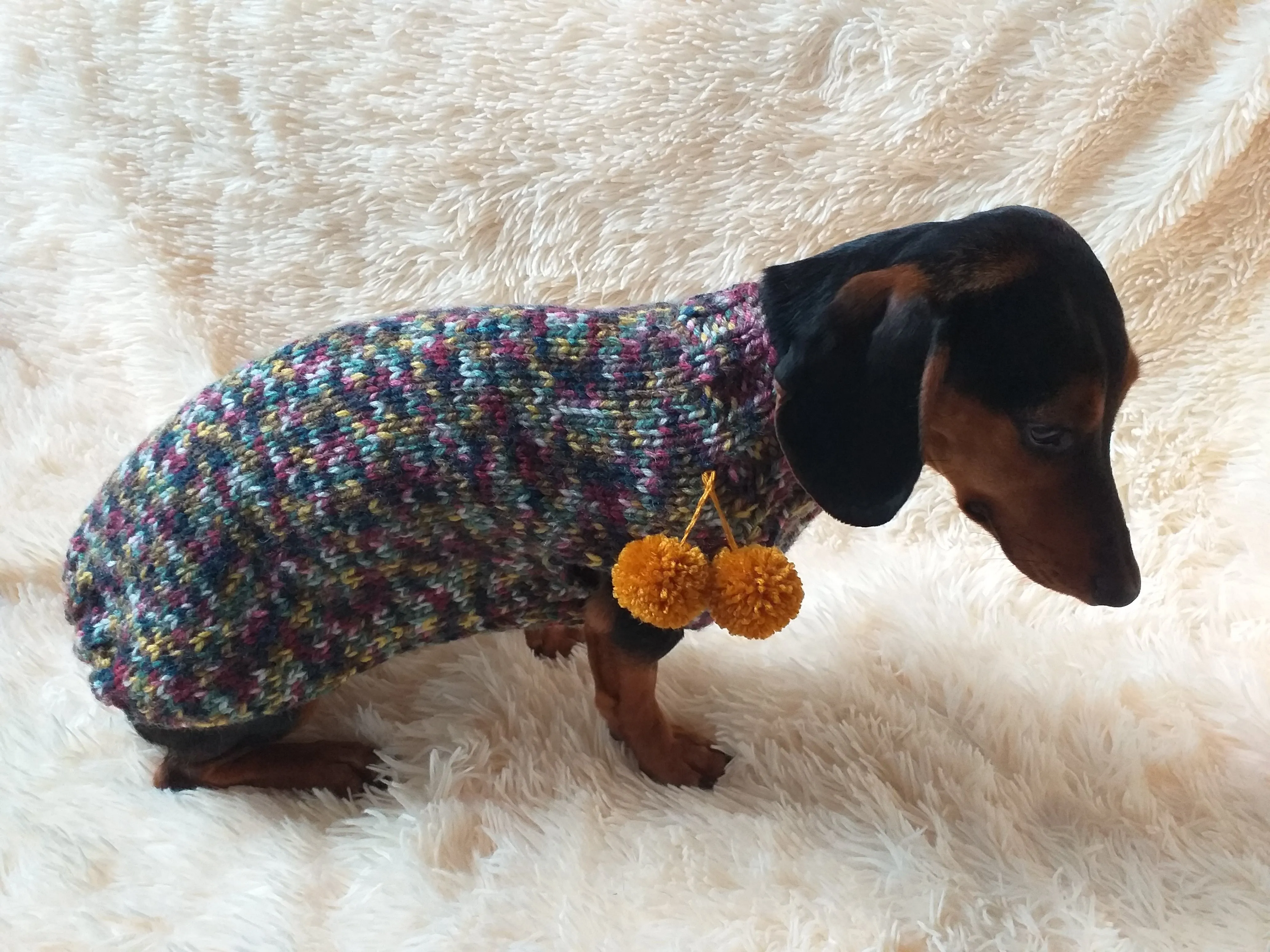 Wool dog jumper with pom poms